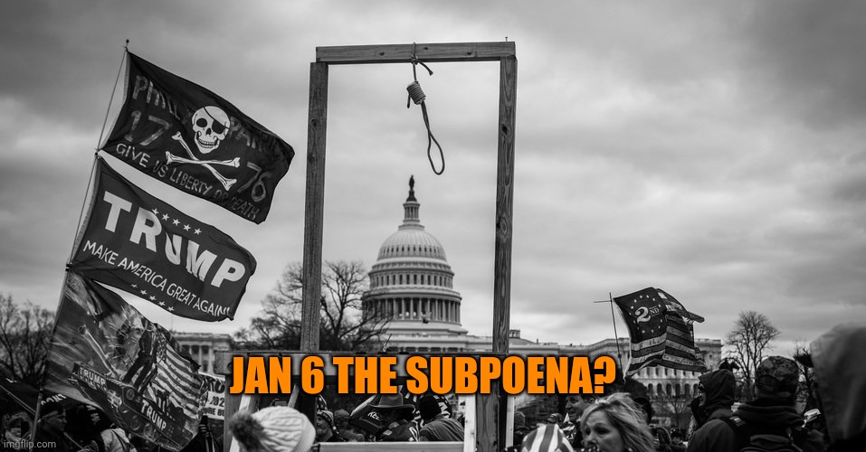 Capitol Hill riot gallows | JAN 6 THE SUBPOENA? | image tagged in capitol hill riot gallows | made w/ Imgflip meme maker