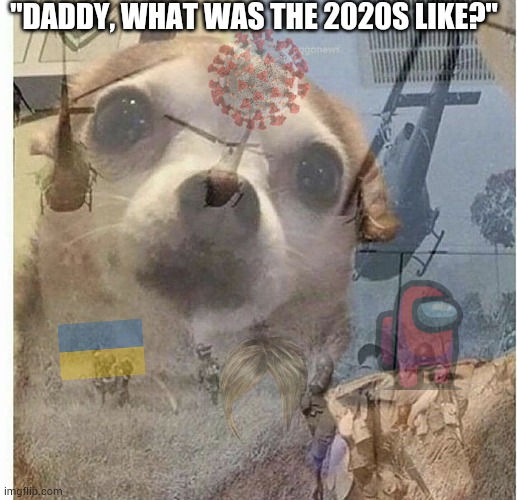 PTSD Chihuahua |  "DADDY, WHAT WAS THE 2020S LIKE?" | image tagged in ptsd chihuahua | made w/ Imgflip meme maker