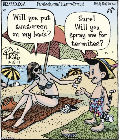 I hope she doesn't get splinters in her back! | image tagged in vince vance,memes,pinocchio,beach,termites,sunscreen | made w/ Imgflip meme maker