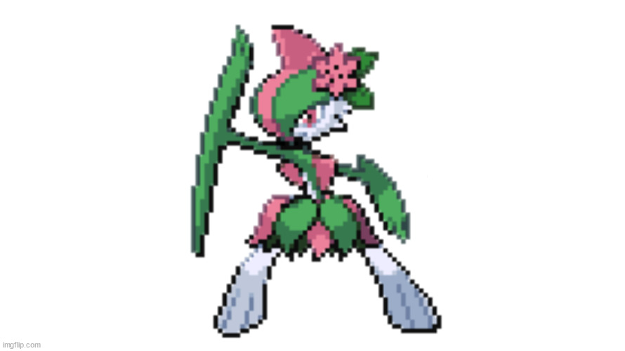 belloade: the femboy pokemon | image tagged in belloade | made w/ Imgflip meme maker