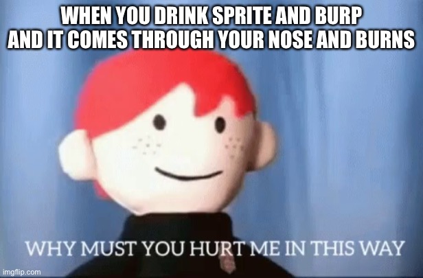 Pain | WHEN YOU DRINK SPRITE AND BURP AND IT COMES THROUGH YOUR NOSE AND BURNS | image tagged in why must you hurt me in this way,pain,soda,sprite,ow | made w/ Imgflip meme maker