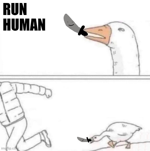 Goose Chase | RUN
HUMAN | image tagged in goose chase | made w/ Imgflip meme maker