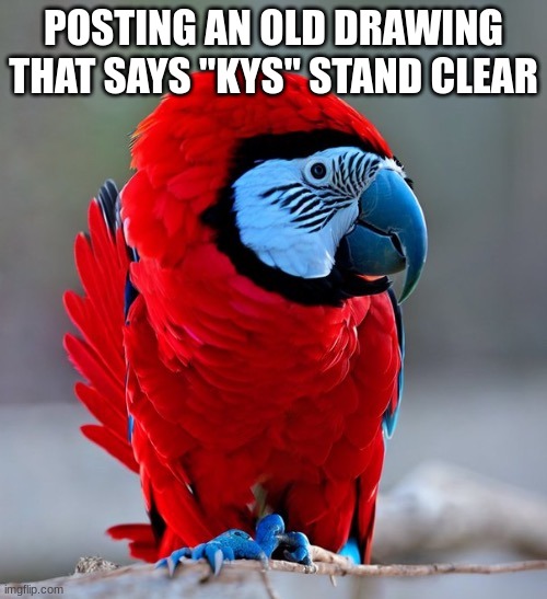 Image tagged in among us parrot - Imgflip