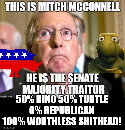 Mcconnel Percentages | 50% RINO 50% TURTLE 0% REPUBLICAN 100% WORTHLESS SHITHEAD! | image tagged in black box | made w/ Imgflip meme maker