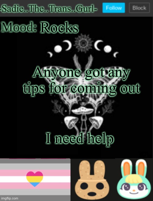 E | Rocks; Anyone got any tips for coming out; I need help | image tagged in sadiesannouncement temp | made w/ Imgflip meme maker