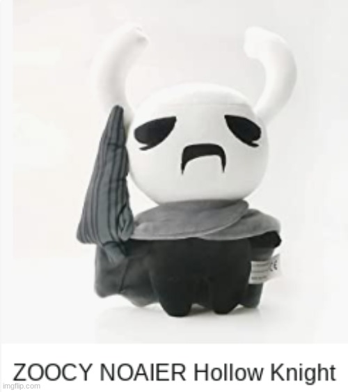 my favorite Hollow Knight character, Zoocy Noaier | made w/ Imgflip meme maker