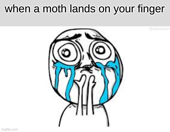 Crying Because Of Cute | when a moth lands on your finger | image tagged in memes,crying because of cute,moths | made w/ Imgflip meme maker