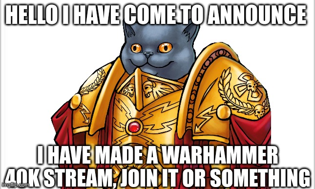 The link is https://imgflip.com/m/Warhammer40k | HELLO I HAVE COME TO ANNOUNCE; I HAVE MADE A WARHAMMER 40K STREAM, JOIN IT OR SOMETHING | image tagged in blank white template,warhammer40k | made w/ Imgflip meme maker