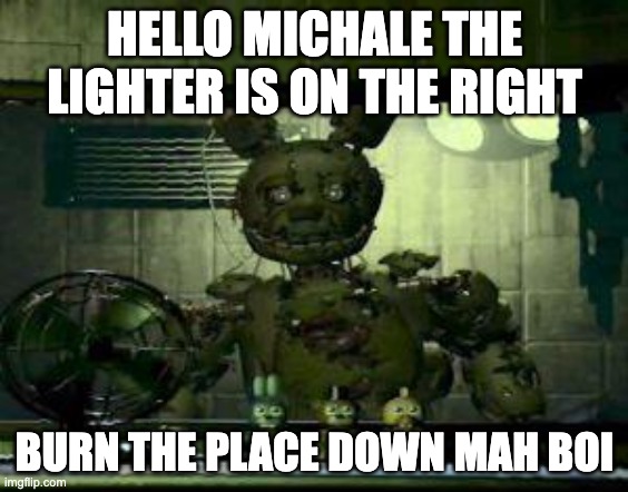 FNAF Springtrap in window | HELLO MICHALE THE LIGHTER IS ON THE RIGHT; BURN THE PLACE DOWN MAH BOI | image tagged in fnaf springtrap in window | made w/ Imgflip meme maker