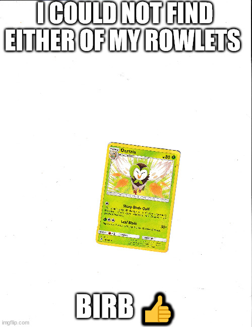 Birb ? | I COULD NOT FIND EITHER OF MY ROWLETS; BIRB 👍 | made w/ Imgflip meme maker