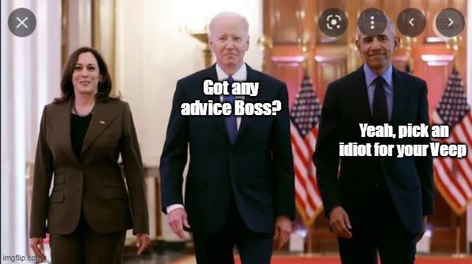 Got any advice Boss? Yeah, pick an idiot for your Veep | made w/ Imgflip meme maker