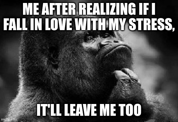 life | ME AFTER REALIZING IF I FALL IN LOVE WITH MY STRESS, IT'LL LEAVE ME TOO | image tagged in thinking monkey,stress,love,pie charts,change my mind,drake hotline bling | made w/ Imgflip meme maker