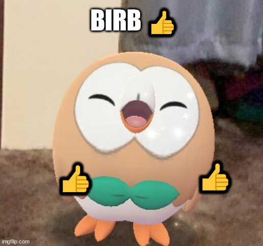 birb approved | BIRB 👍; 👍; 👍 | image tagged in happy rowlet | made w/ Imgflip meme maker