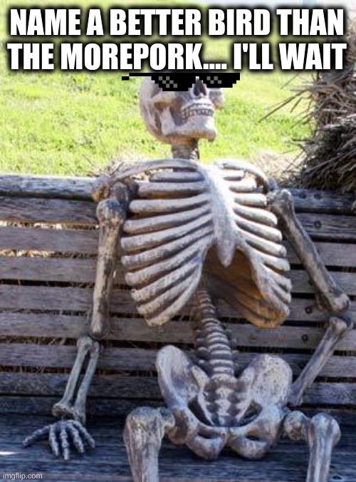 Morepork From NZ Is Waiting | NAME A BETTER BIRD THAN THE MOREPORK.... I'LL WAIT | image tagged in memes,waiting skeleton | made w/ Imgflip meme maker