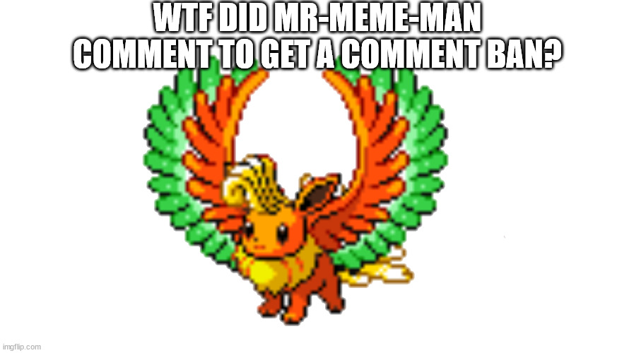 ev-oh | WTF DID MR-MEME-MAN COMMENT TO GET A COMMENT BAN? | image tagged in ev-oh | made w/ Imgflip meme maker