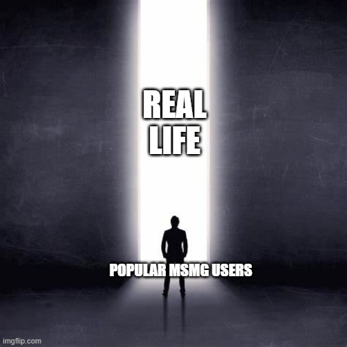 maybe we could learn something from this. | REAL LIFE; POPULAR MSMG USERS | made w/ Imgflip meme maker
