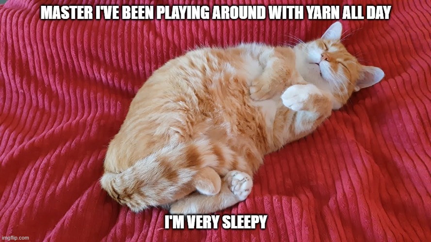 when the cat gets sleepy | MASTER I'VE BEEN PLAYING AROUND WITH YARN ALL DAY; I'M VERY SLEEPY | image tagged in sleepy cat,upvotes,cats,cuteness overload | made w/ Imgflip meme maker