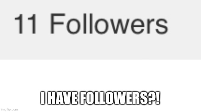 I thought I only had 2 |  I HAVE FOLLOWERS?! | image tagged in followers | made w/ Imgflip meme maker