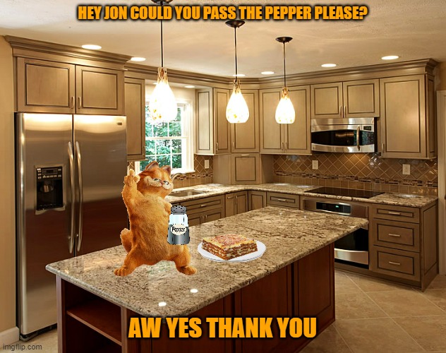 hey jon pass the pepper | HEY JON COULD YOU PASS THE PEPPER PLEASE? AW YES THANK YOU | image tagged in kitchen,cats,garfield,dinner,lasagna | made w/ Imgflip meme maker