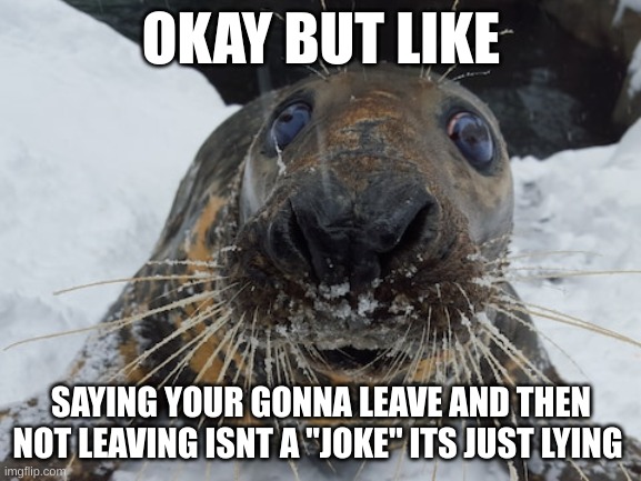 unless its very obviously sarcastic | OKAY BUT LIKE; SAYING YOUR GONNA LEAVE AND THEN NOT LEAVING ISNT A "JOKE" ITS JUST LYING | image tagged in his name's bim bim | made w/ Imgflip meme maker