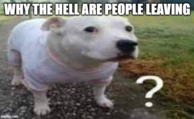 Dog question mark | WHY THE HELL ARE PEOPLE LEAVING | image tagged in dog question mark | made w/ Imgflip meme maker