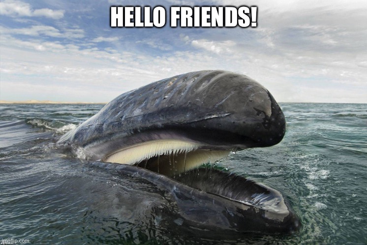 HELLO FRIENDS! | made w/ Imgflip meme maker