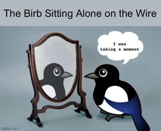The Birb Sitting Alone on the Wire I was taking a moment | made w/ Imgflip meme maker