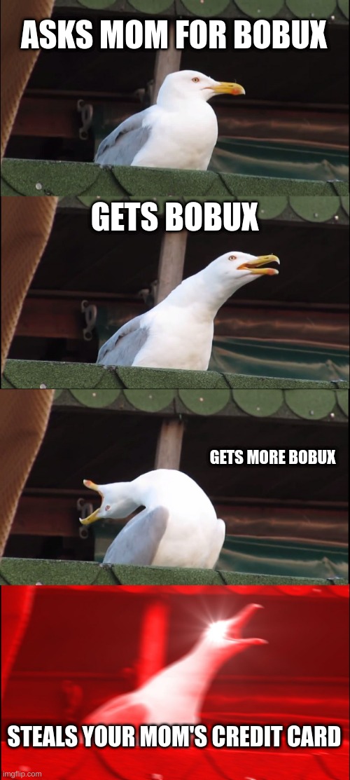 how to get bobux | ASKS MOM FOR BOBUX; GETS BOBUX; GETS MORE BOBUX; STEALS YOUR MOM'S CREDIT CARD | image tagged in memes,inhaling seagull | made w/ Imgflip meme maker