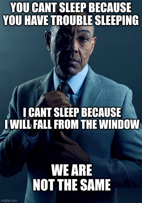 Hol' up | YOU CANT SLEEP BECAUSE YOU HAVE TROUBLE SLEEPING; I CANT SLEEP BECAUSE I WILL FALL FROM THE WINDOW; WE ARE NOT THE SAME | image tagged in gus fring we are not the same | made w/ Imgflip meme maker