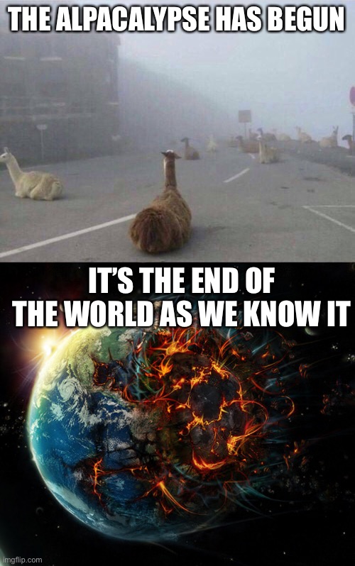 Alpacalypse | THE ALPACALYPSE HAS BEGUN; IT’S THE END OF THE WORLD AS WE KNOW IT | image tagged in it is the end of the world as we know it,alpaca,apocalypse | made w/ Imgflip meme maker