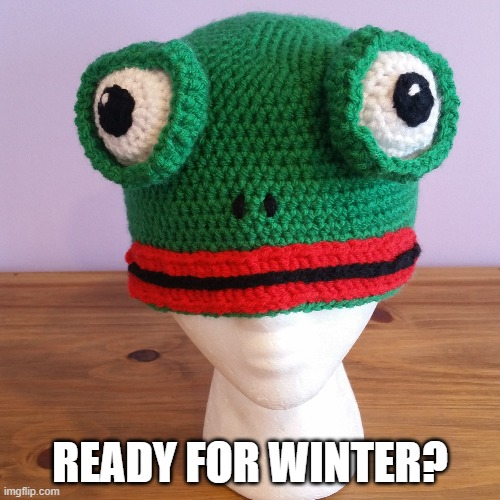  READY FOR WINTER? | image tagged in pepe the frog | made w/ Imgflip meme maker
