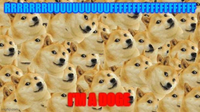Multi Doge | RRRRRRRUUUUUUUUUUFFFFFFFFFFFFFFFFFFF; I'M A DOGE | image tagged in memes,multi doge | made w/ Imgflip meme maker