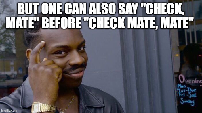 Roll Safe Think About It Meme | BUT ONE CAN ALSO SAY "CHECK, MATE" BEFORE "CHECK MATE, MATE" | image tagged in memes,roll safe think about it | made w/ Imgflip meme maker