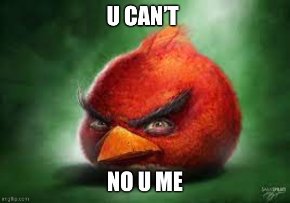 Realistic Red Angry Birds | U CAN’T NO U ME | image tagged in realistic red angry birds | made w/ Imgflip meme maker