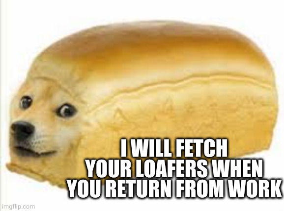 Doge bread | I WILL FETCH YOUR LOAFERS WHEN YOU RETURN FROM WORK | image tagged in doge bread | made w/ Imgflip meme maker