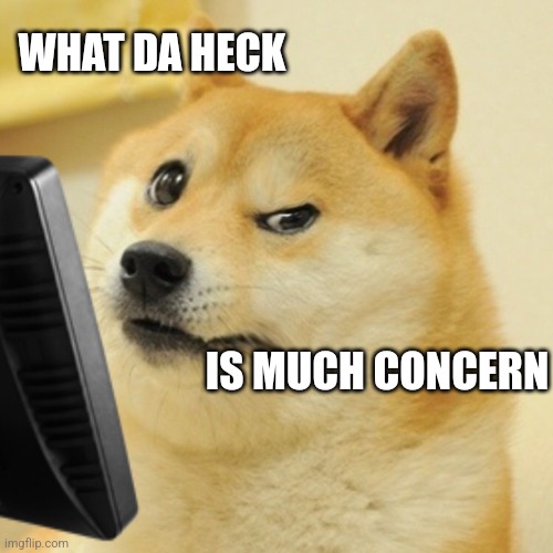 Concerned doge computer | WHAT DA HECK IS MUCH CONCERN | image tagged in concerned doge computer | made w/ Imgflip meme maker