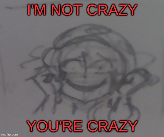 401's evil smile | I'M NOT CRAZY; YOU'RE CRAZY | image tagged in 401's evil smile,drm oc | made w/ Imgflip meme maker