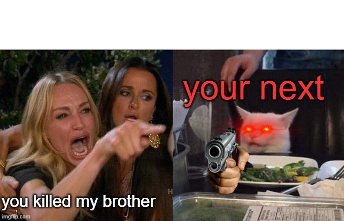 Woman Yelling At Cat Meme | your next; you killed my brother | image tagged in memes,woman yelling at cat | made w/ Imgflip meme maker