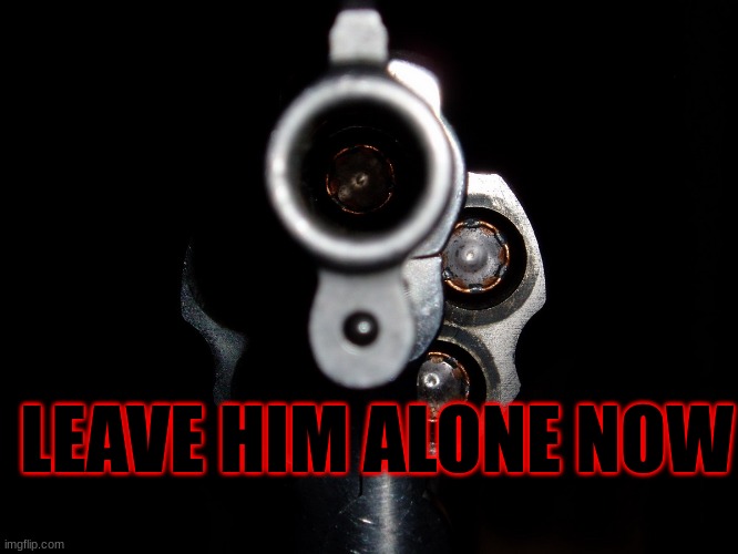 GunPoint | LEAVE HIM ALONE NOW | image tagged in gunpoint | made w/ Imgflip meme maker