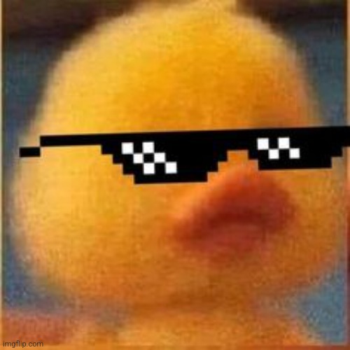 swag duck | image tagged in swag duck | made w/ Imgflip meme maker