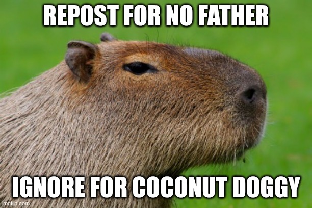 I pulled a sneaky one on ya... | REPOST FOR NO FATHER; IGNORE FOR COCONUT DOGGY | image tagged in anonymous capybara,i pulled a sneaky | made w/ Imgflip meme maker