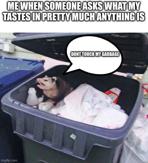 :) | ME WHEN SOMEONE ASKS WHAT MY TASTES IN PRETTY MUCH ANYTHING IS; DONT TOUCH MY GARBAGE | image tagged in trash possum | made w/ Imgflip meme maker