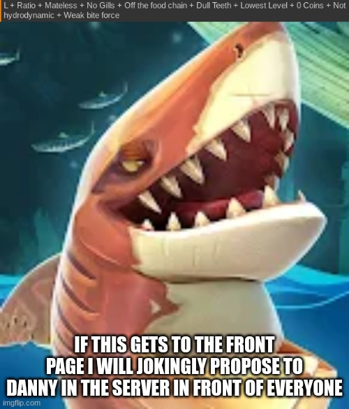 Tiger Shark L + Ratio | IF THIS GETS TO THE FRONT PAGE I WILL JOKINGLY PROPOSE TO DANNY IN THE SERVER IN FRONT OF EVERYONE | image tagged in tiger shark l ratio | made w/ Imgflip meme maker