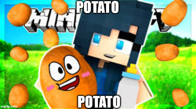 My Meme | POTATO; POTATO | image tagged in my meme | made w/ Imgflip meme maker