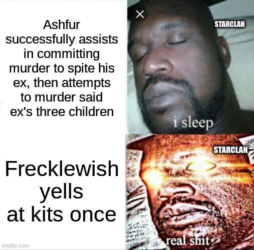 10/10 starclan-ing | Ashfur successfully assists in committing murder to spite his ex, then attempts to murder said ex's three children; STARCLAN; Frecklewish yells at kits once; STARCLAN | image tagged in memes,sleeping shaq | made w/ Imgflip meme maker
