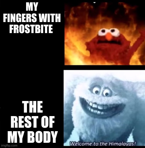 I felt that today | MY FINGERS WITH FROSTBITE; THE REST OF MY BODY | image tagged in hot and cold | made w/ Imgflip meme maker