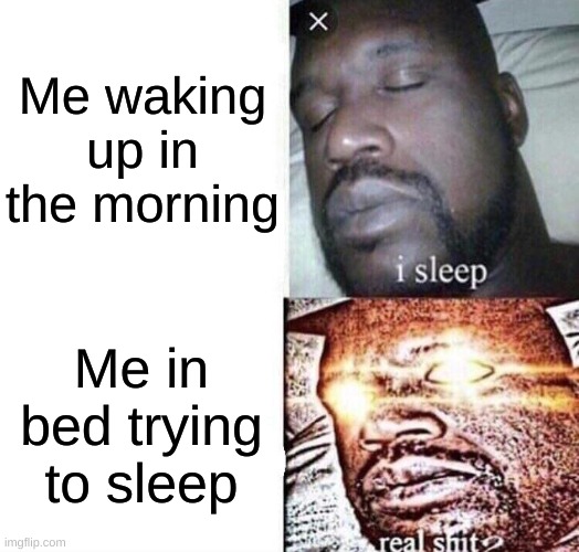 average insomniac moment | Me waking up in the morning; Me in bed trying to sleep | image tagged in i sleep real shit | made w/ Imgflip meme maker