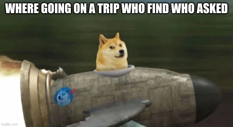 yes | WHERE GOING ON A TRIP WHO FIND WHO ASKED | image tagged in doge rocket,hop in we're gonna find who asked,who asked | made w/ Imgflip meme maker