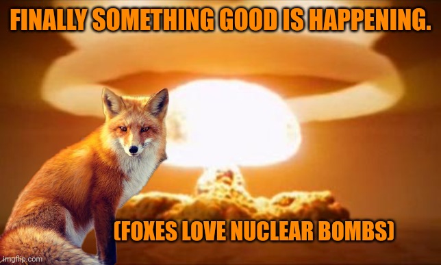 Important fox facts about how foxes love nuclear bombs | FINALLY SOMETHING GOOD IS HAPPENING. (FOXES LOVE NUCLEAR BOMBS) | image tagged in nuclear explosion,foxes,love,nukes | made w/ Imgflip meme maker
