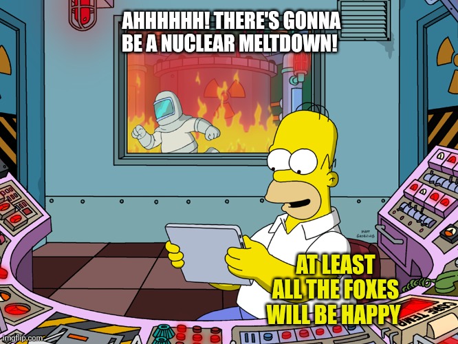 Nukes are bad for us. But good for foxes | AHHHHHH! THERE'S GONNA BE A NUCLEAR MELTDOWN! AT LEAST ALL THE FOXES WILL BE HAPPY | image tagged in homer simpson,foxes,love,nuclear bomb | made w/ Imgflip meme maker